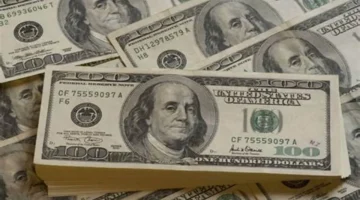 سعر الدولار مقابل الجنيه ينهي تعاملات الأحد بوتيرة ثابتة